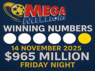 Mega Millions Drawing Results 14 November 2025 11/14/2025
